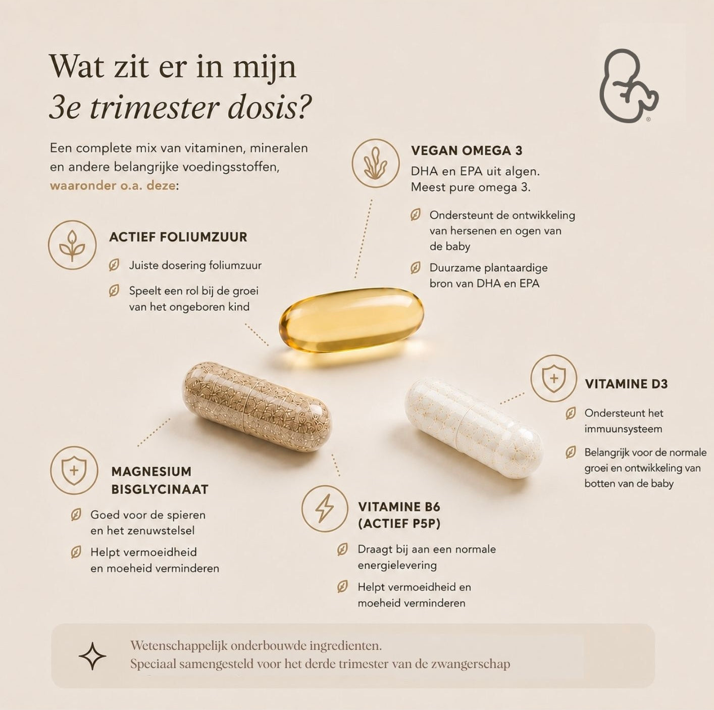 Vitamines Zwangerschap - 3e Trimester supplementen