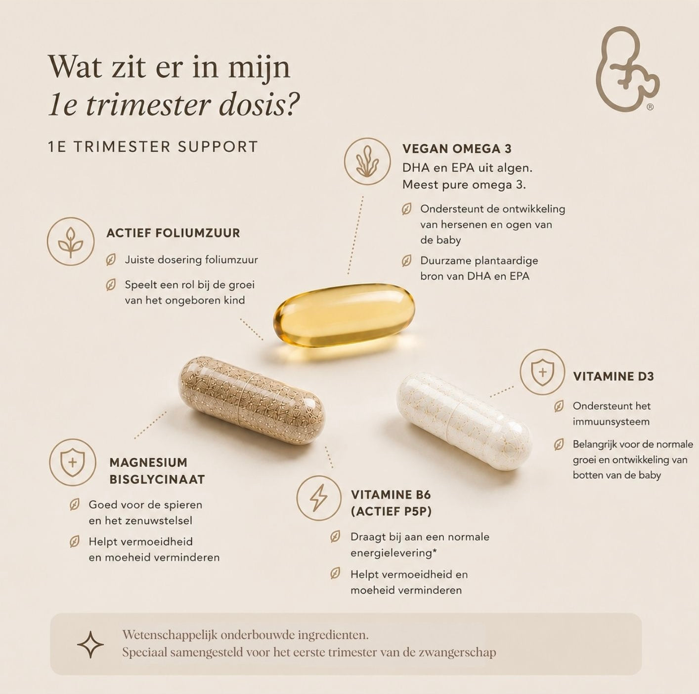 Vitamines Zwangerschap - 1e Trimester supplementen