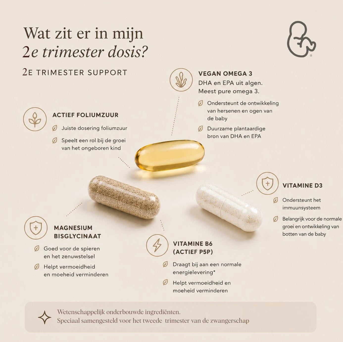 Vitamines Zwangerschap - 2e Trimester supplementen