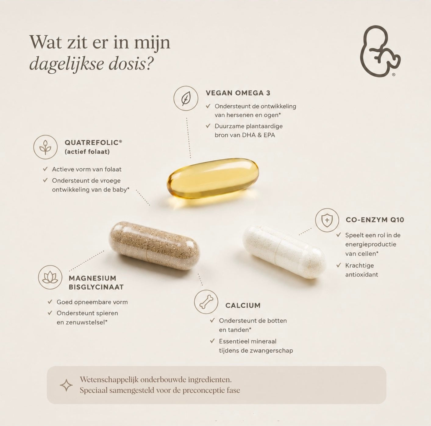 Zwanger Worden Vitamines - Preconceptie supplementen
